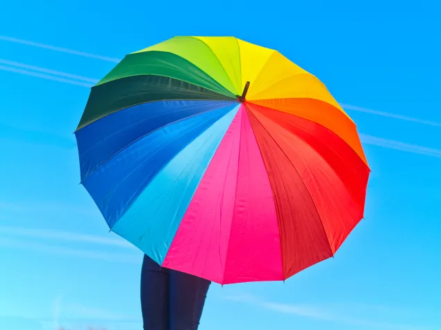 Person holding an umbrella