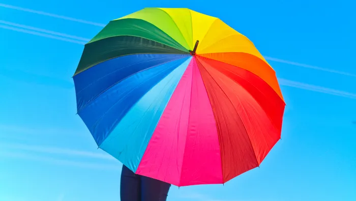 Person holding an umbrella