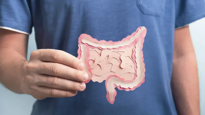 Image of the gut