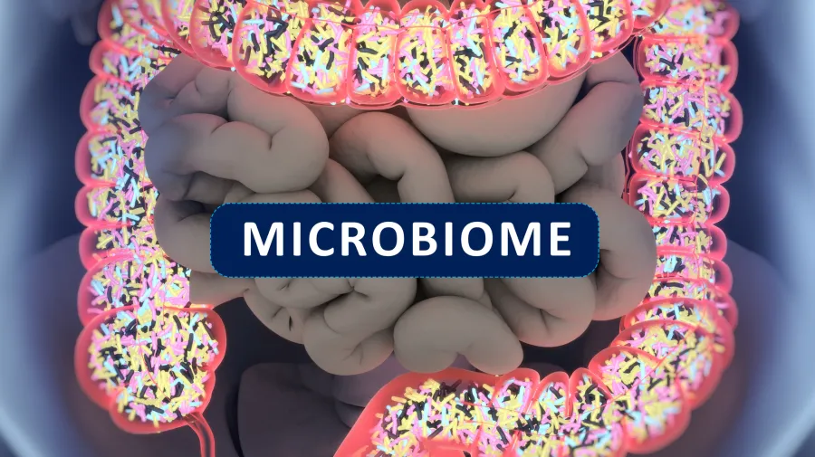 Image of the microbiome